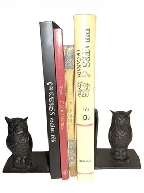 Pair of Vintage Style Cast Iron Standing Owl Book Ends
